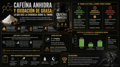 Cafeína Anhidra y Oxidación de Grasa: Lo Que Dice la Evidencia Sobre el Timing